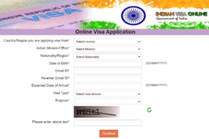 online visa application